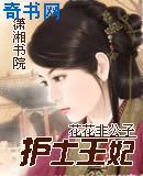 护士王妃