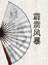 007谍海系列之:霹雳风暴