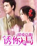 总裁猎爱：诱你入局