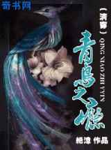 青鸟之瘾（清穿）