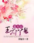 王府丫鬟追夫记
