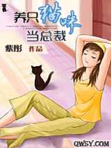 养只猫咪当总裁