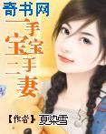 一手宝宝二手妻