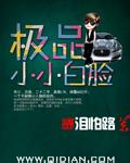 极品小小白脸