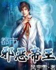 都市风流帝王