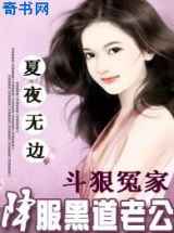 斗狠冤家：降服黑道老公