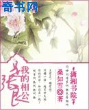 我的相公是张良
