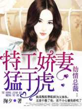 劫情总裁：特工娇妻猛于虎