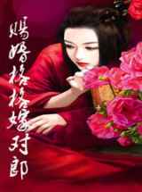 赐婚格格嫁对郎