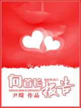 向首长报告