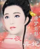 万世劫：一夜弃妃