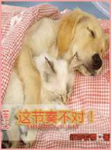 这节奏不对！