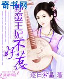 野蛮王妃不好惹