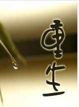 重生未来之芯片师