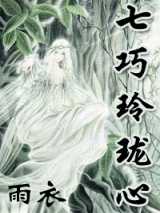 七巧玲珑心