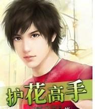 绝品护花高手