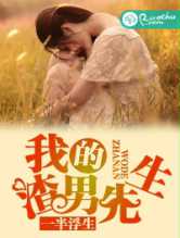 我的渣男先生