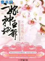 不做花瓶王妃：二嫁神秘王爷