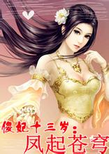 杀手傻妃十三岁：凤起苍穹