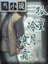 孤星冷月寒霜