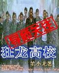 狂龙高校