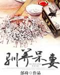 驯养呆妻