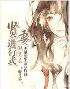 贤妻进行式