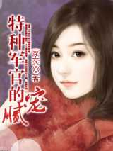 特种军官的腻宠
