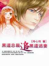 黑道总裁追黑道逃妻