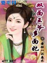 双面王爷多面妃