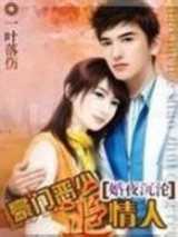 婚夜沉沦：豪门恶少追情人