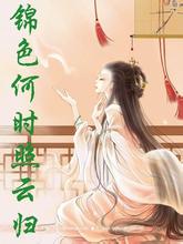 锦色何时照云归