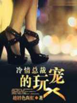 冷情总裁的玩宠