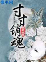 寸寸销魂