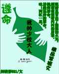 遵命我的少校大人