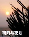 朝阳与夜歌