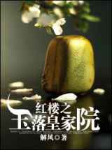 红楼之玉落皇家院