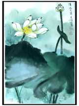 清水芙蓉