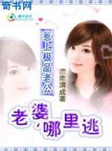 惹上极品老公：老婆，别想逃