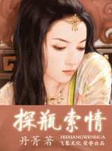 探瓶索情