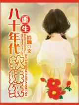 穿越八十年代鉴宝记
