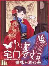 宅门小寡妇