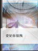 爱妃你很拽