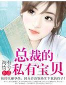 总裁的私有宝贝