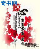掠心