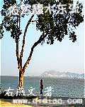 馥水东流