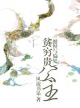 [傲慢与偏见]贫穷贵公主