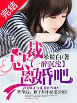 总裁离婚吧