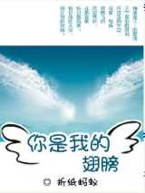 你是我的翅膀（军旅）