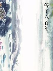 等了六百年